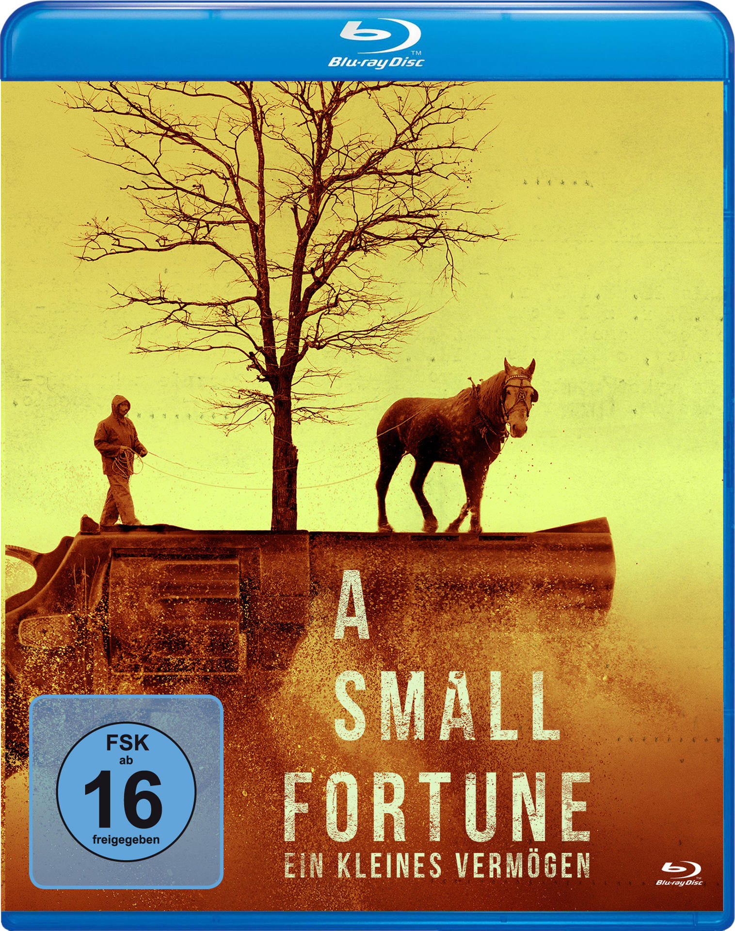 Small A Fortune-Ein Vermögen Kleines Blu-ray