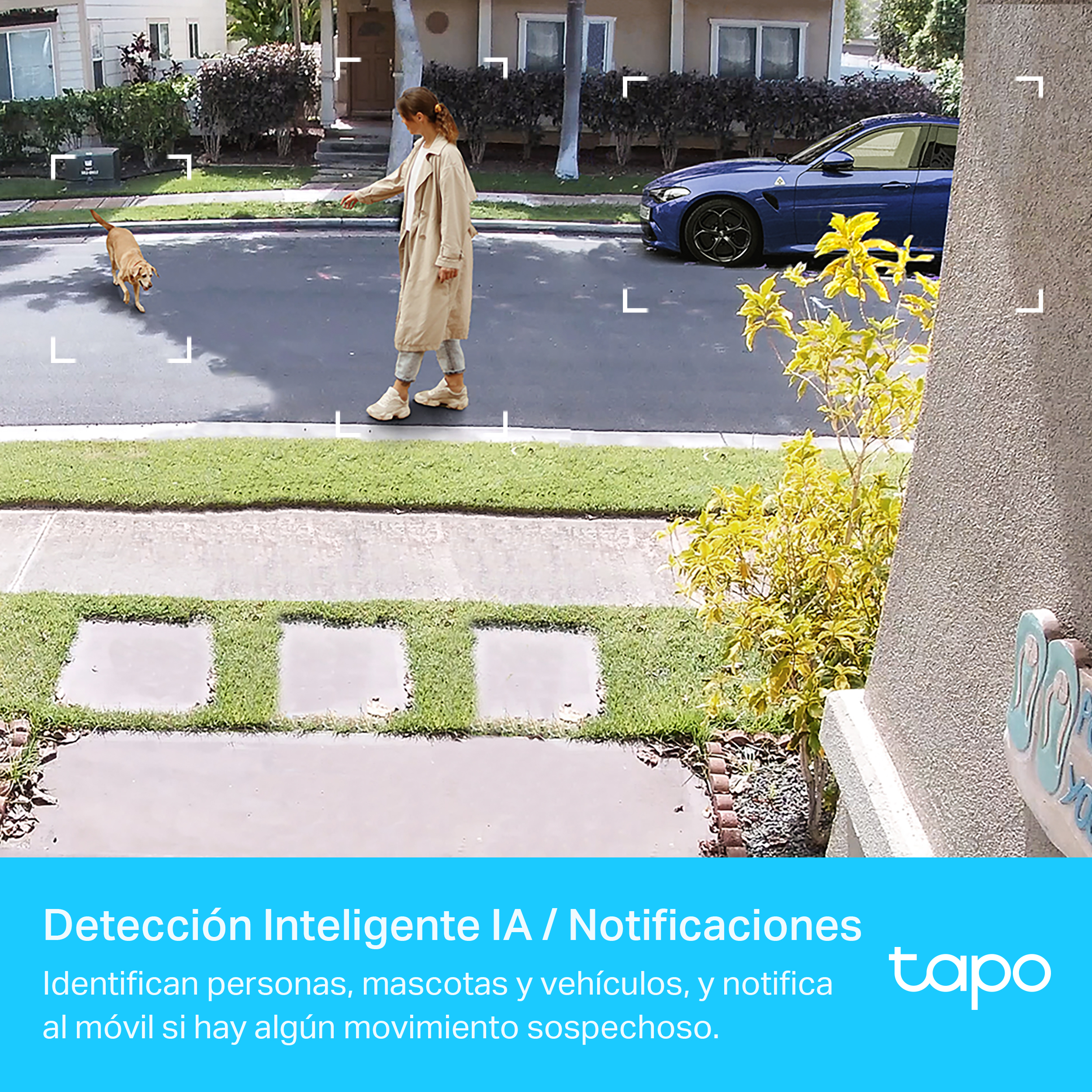 Una mujer y un perro pequeño caminan frente a una casa. Un coche está aparcado en la calle. Logotipo de Tapo en la esquina.