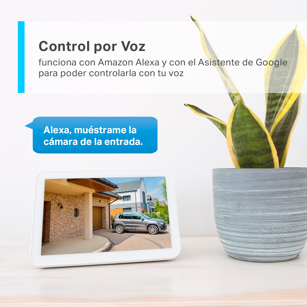 Pantalla inteligente mostrando un exterior de casa con un coche y una planta.