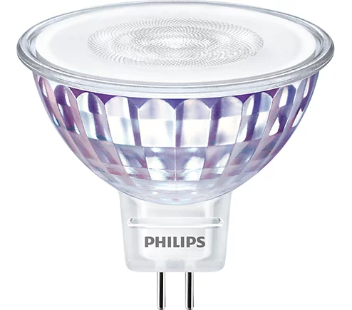 Eine Philips LED-Glühbirne mit einem transparenten Glaskörper und einer weißen Oberseite. Der Sockel hat zwei Stifte, und der Markenname ist sichtbar.
