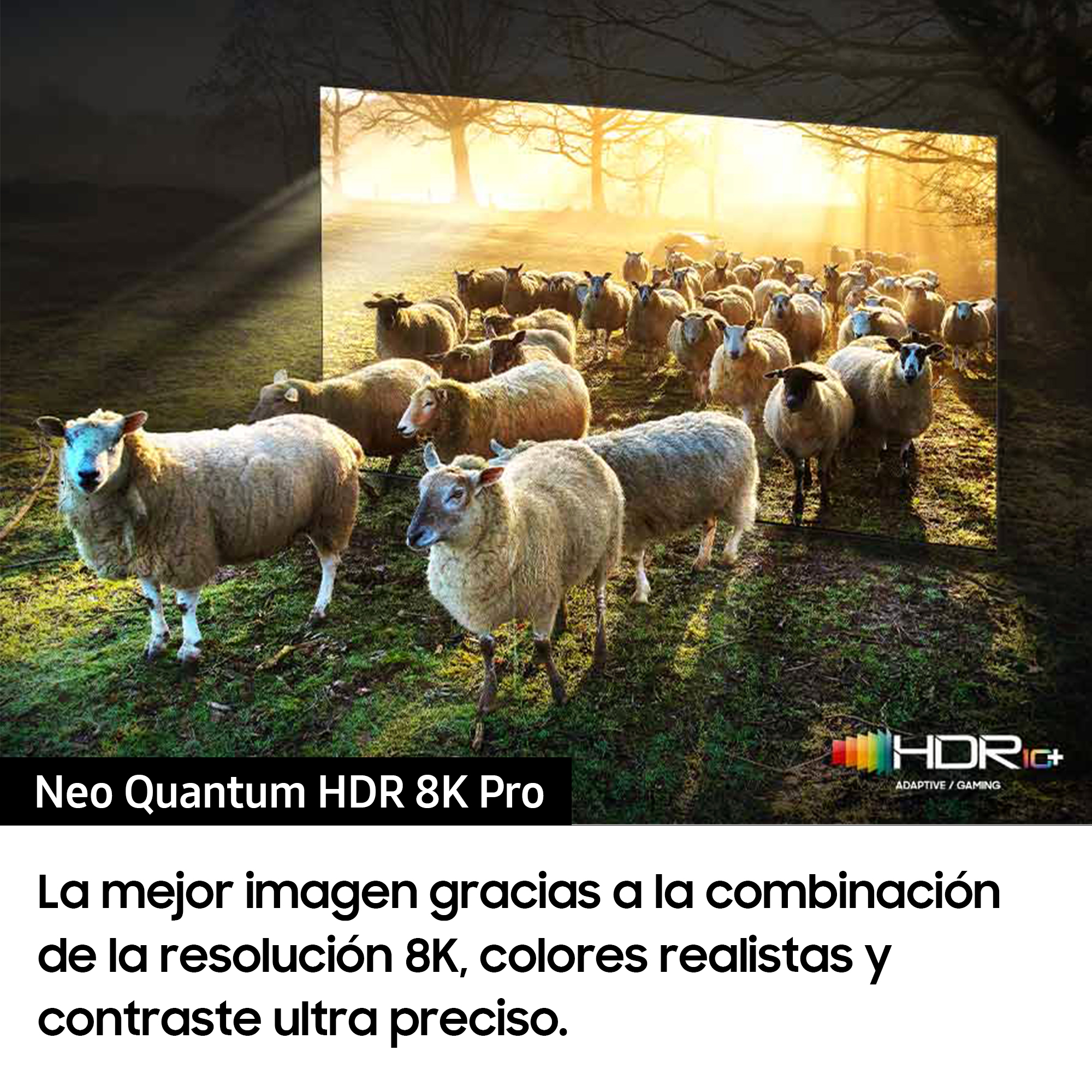 Hoja de información del producto con tablas de datos y encabezados.