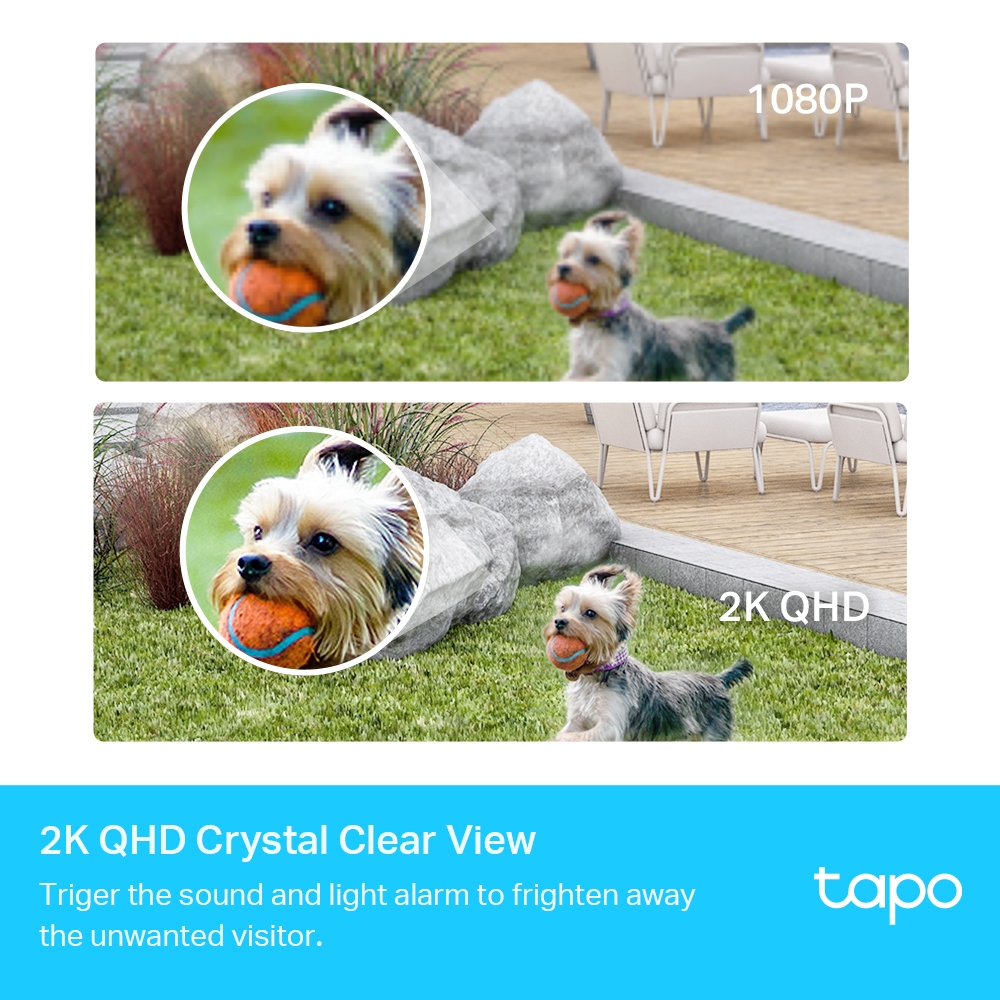 Güvenlik kamerası görüntülerinin karşılaştırması. 1080P ve 2K QHD. Turuncu bir topla bir köpek.