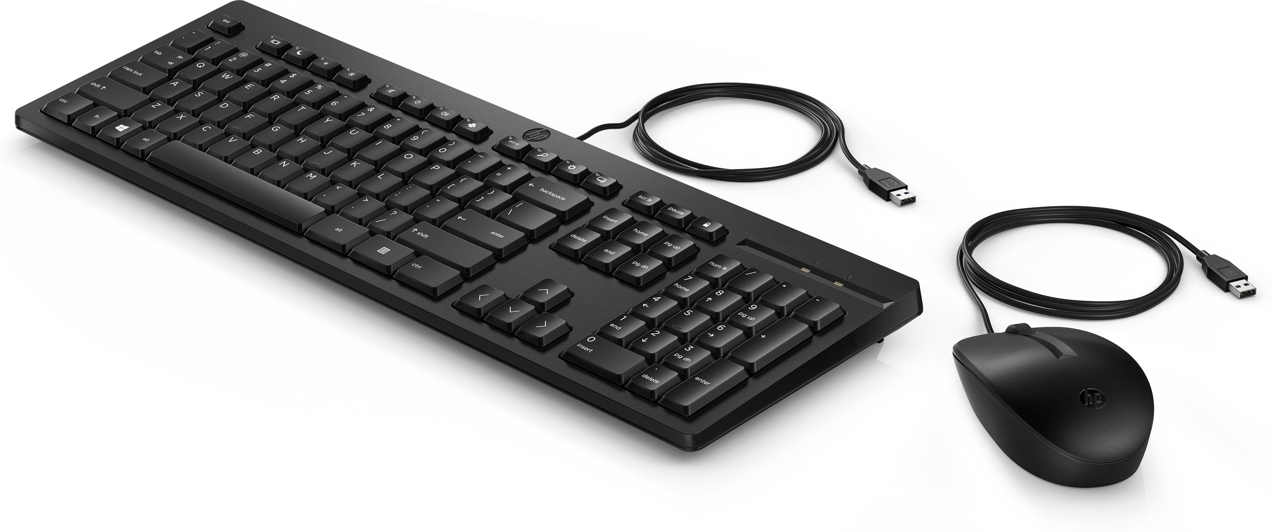 Schwarze Tastatur und Maus auf weißem Hintergrund. USB-Kabel sind sichtbar.