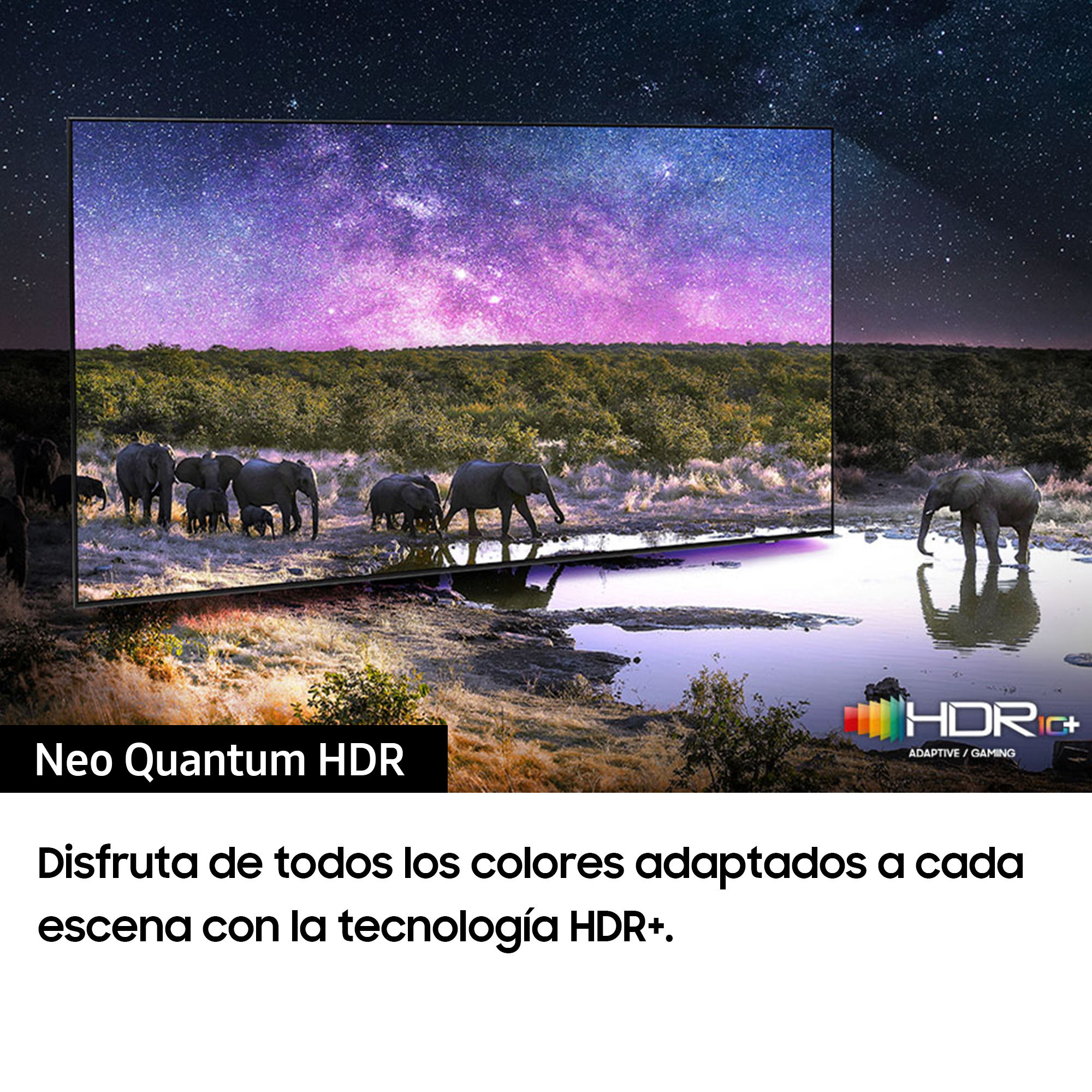 Pantalla de TV mostrando un paisaje con elefantes y texto. Tecnología HDR anunciada.