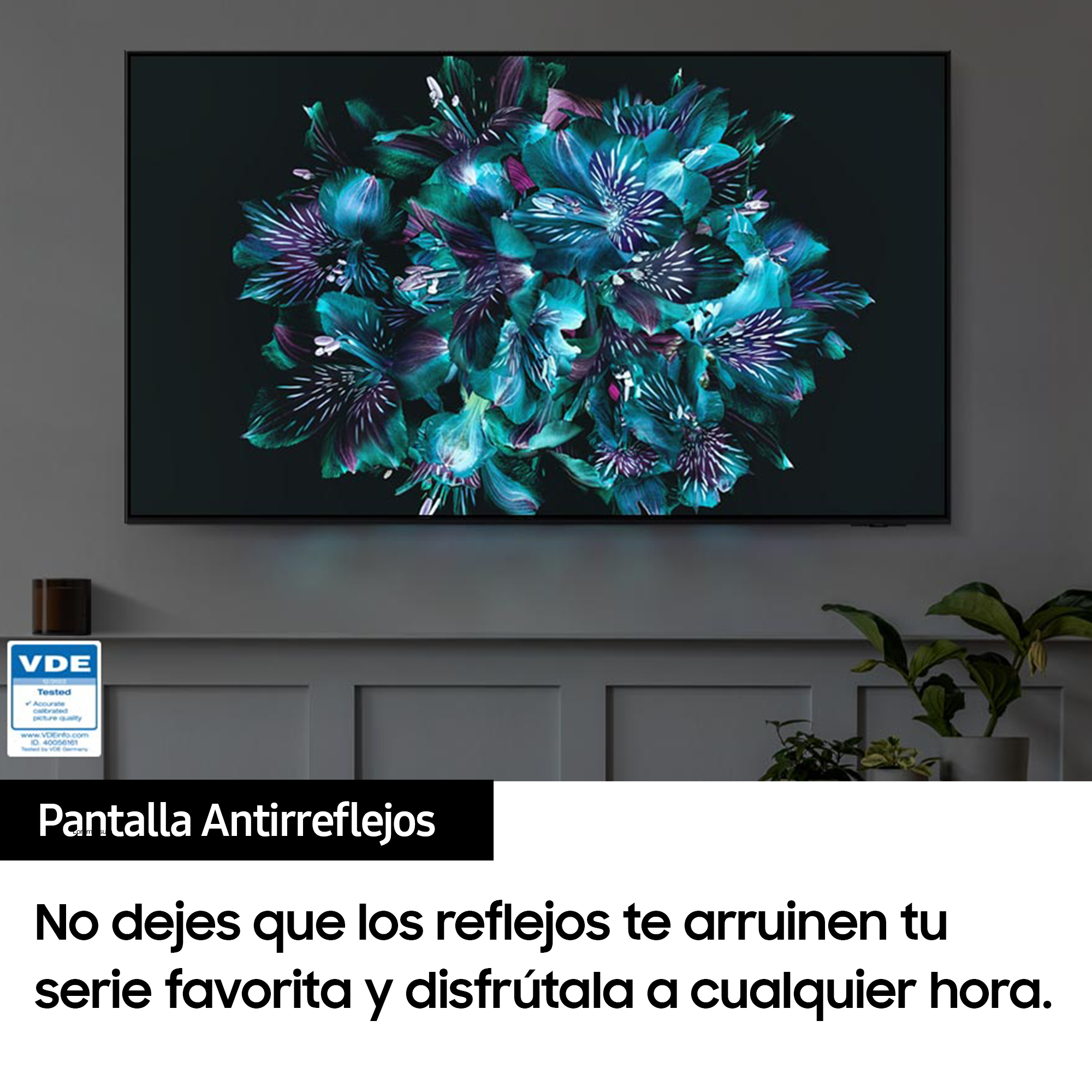 Una pantalla de TV muestra arte floral, con texto debajo sobre pantalla antirreflectante.