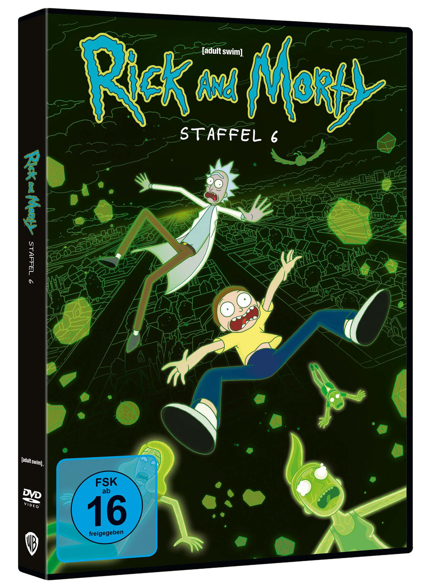 Rick and Morty Staffel 6 DVD-Cover mit Figuren auf grünem Hintergrund.
