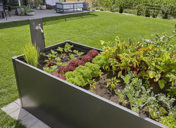 Erhöhtes Gartenbeet mit Gemüse, Wasserhahn und Rasen im Hintergrund.