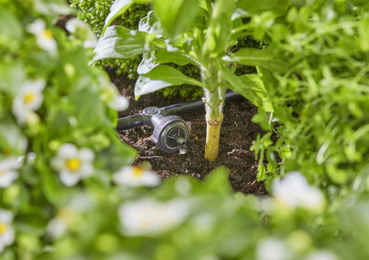 Ein Bewässerungssystem in einem Garten mit Blumen. Ein kleines schwarzes Ventil ist sichtbar.