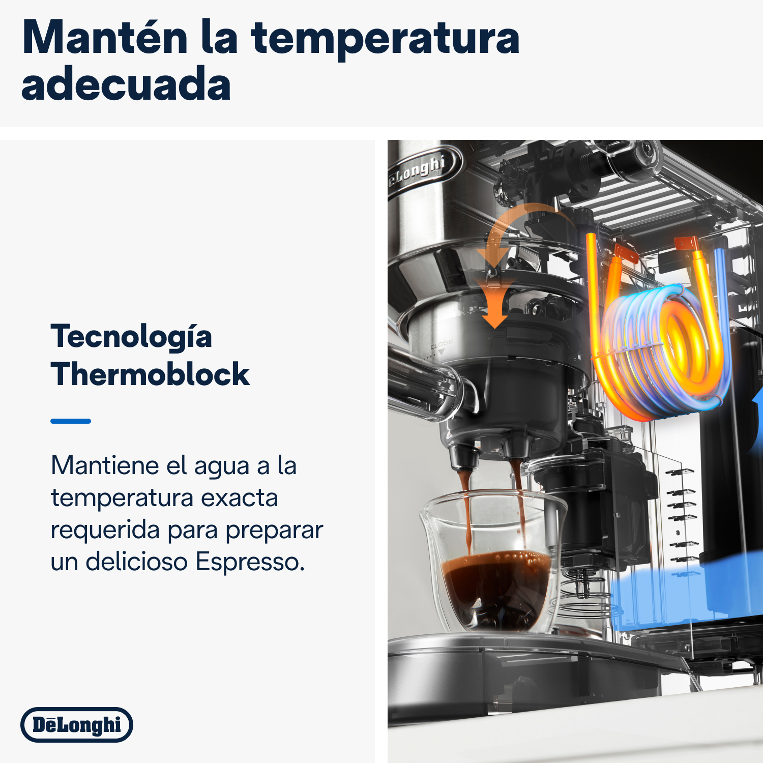 Cable de extensión de alimentación negro con dos conectores.