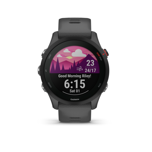 Garmin Forerunner 255 Slate Grey