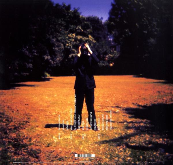 Steven Wilson - Insurgentes (Gatefold Black 2LP)  - (Vinyl)