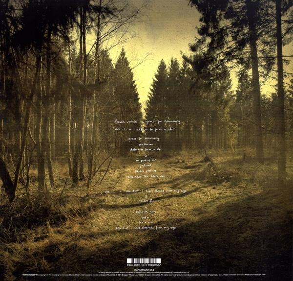 Steven Wilson - Grace For Drowning (Gatefold Black 2LP)  - (Vinyl)