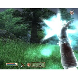 Gra PC CENEGA Elder Scrolls IV: Oblivion (PKK)