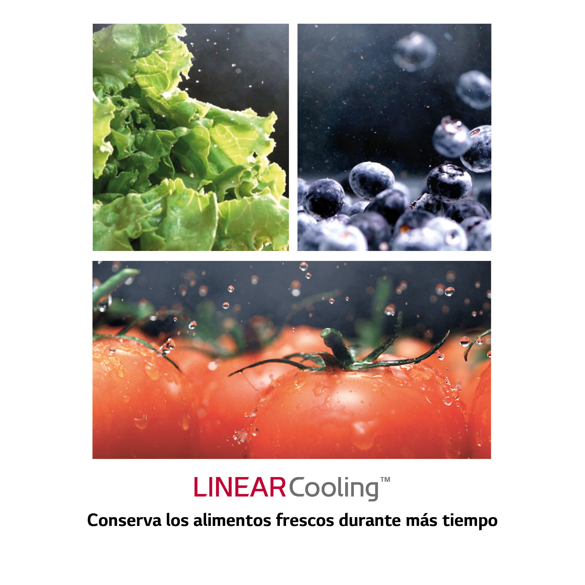 Tres imágenes: lechuga, arándanos, tomates. Texto: LINEAR Cooling, mantiene la comida fresca por más tiempo.