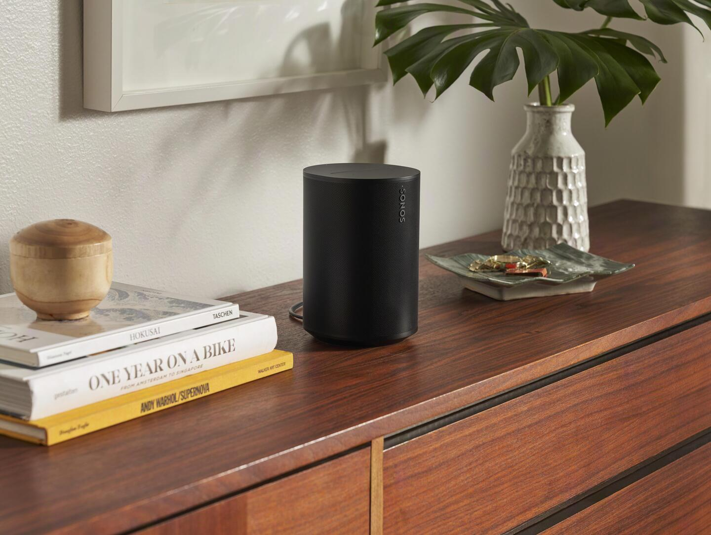 Un altavoz negro está sobre una superficie de madera. También hay una planta y libros.