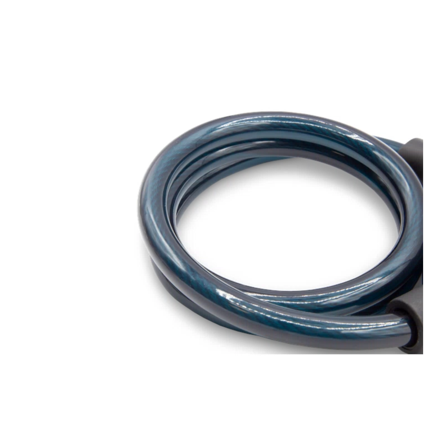 Coiled blue cable, close-up, on white background. Black ends.