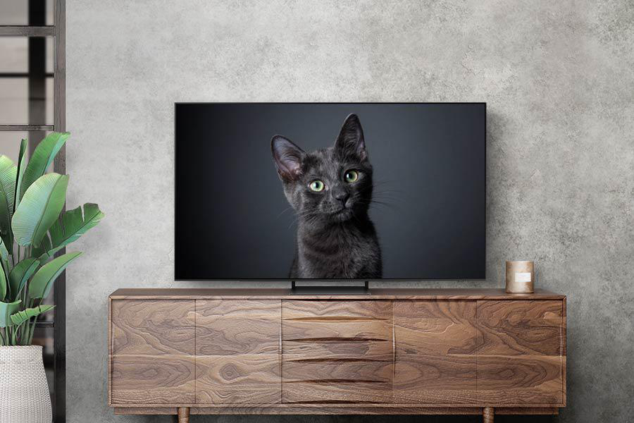 Eine schwarze Katze auf einem Fernsehbildschirm über einem Holzschrank vor einer grauen Betonwand.