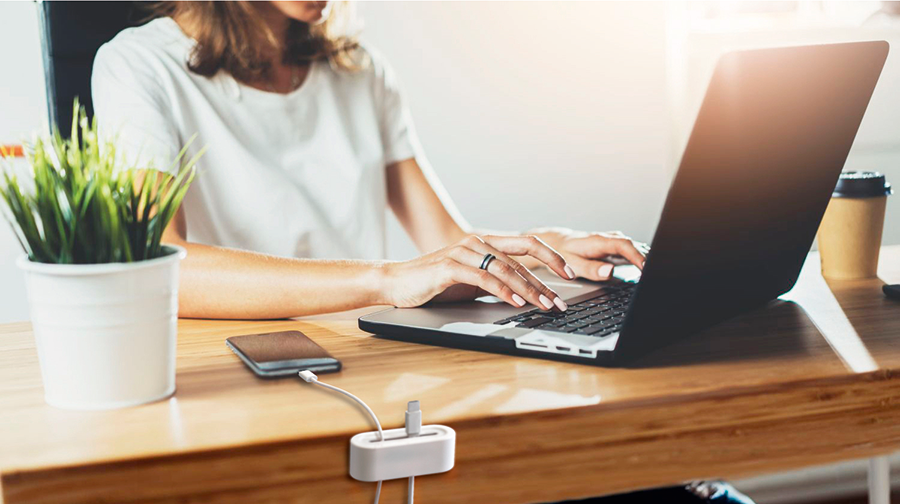 A person working on a laptop. A phone and charger are on the desk. There is a plant.