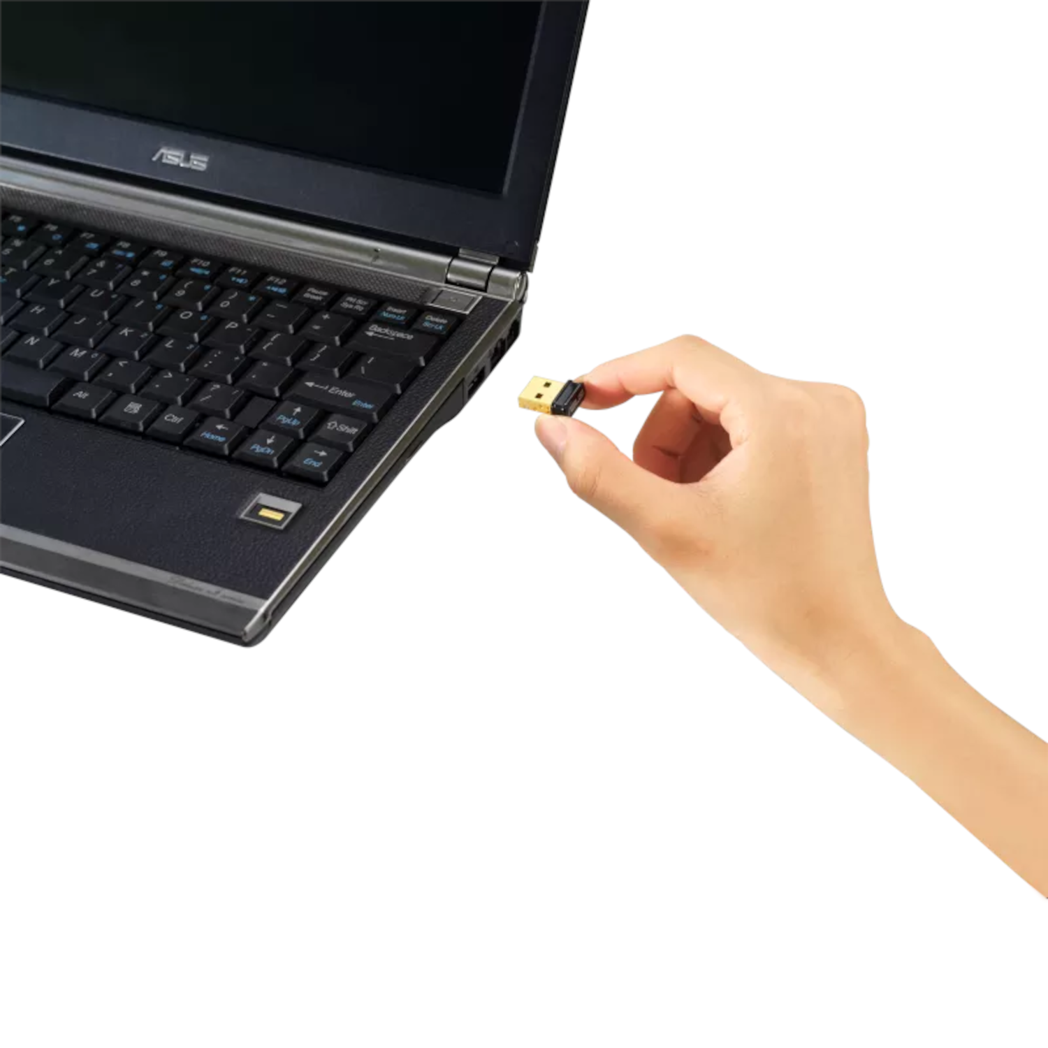 Main tenant une clé USB près d'un ordinateur portable ouvert, fond blanc.