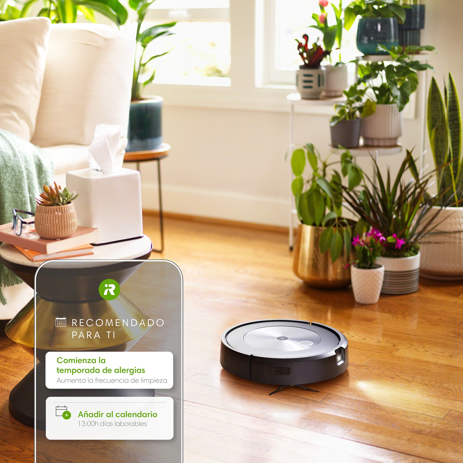 Una aspiradora robot en un piso de madera, con plantas y una pantalla de teléfono.