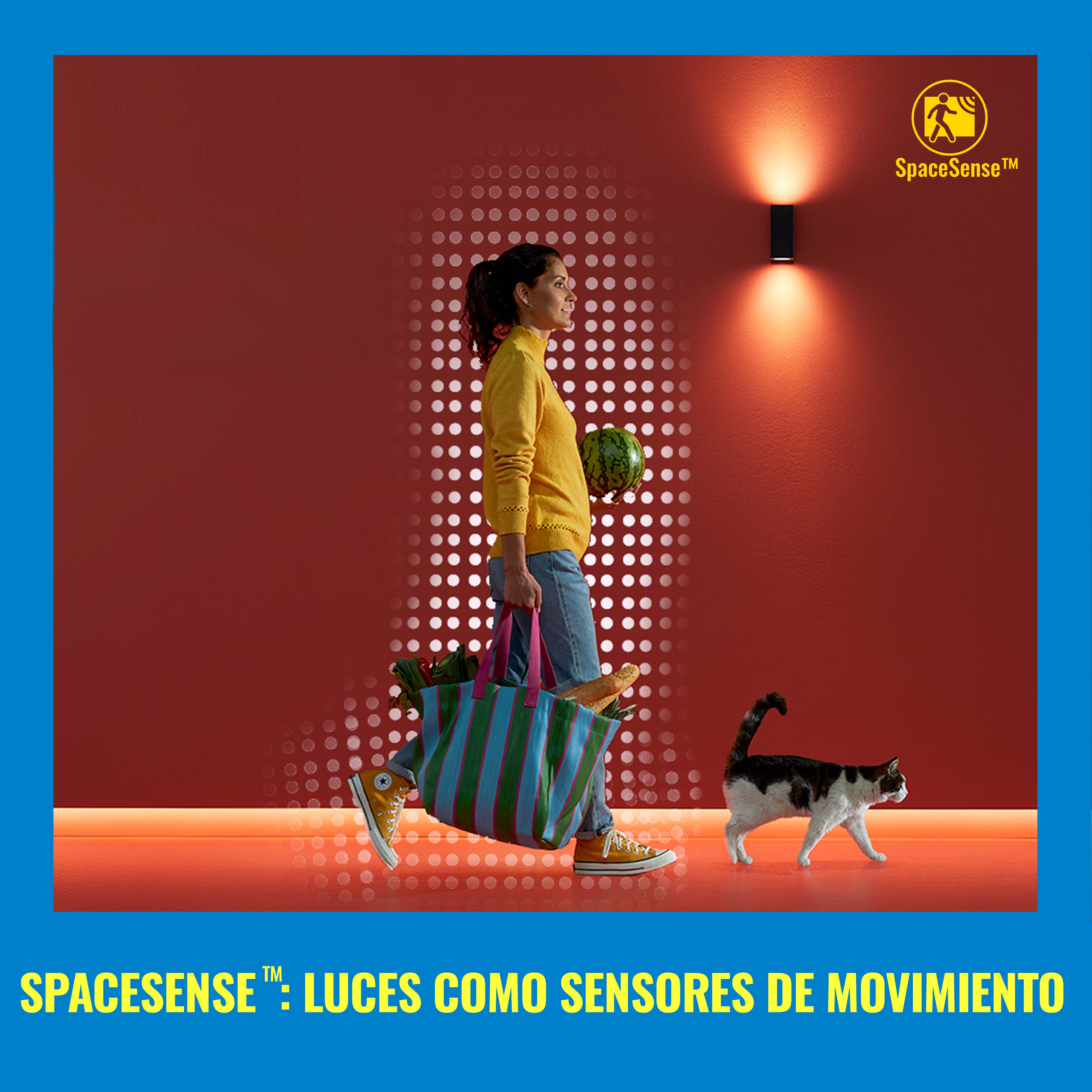 Una mujer caminando con comestibles, una bolsa y un gato. El fondo es una pared roja con luces.