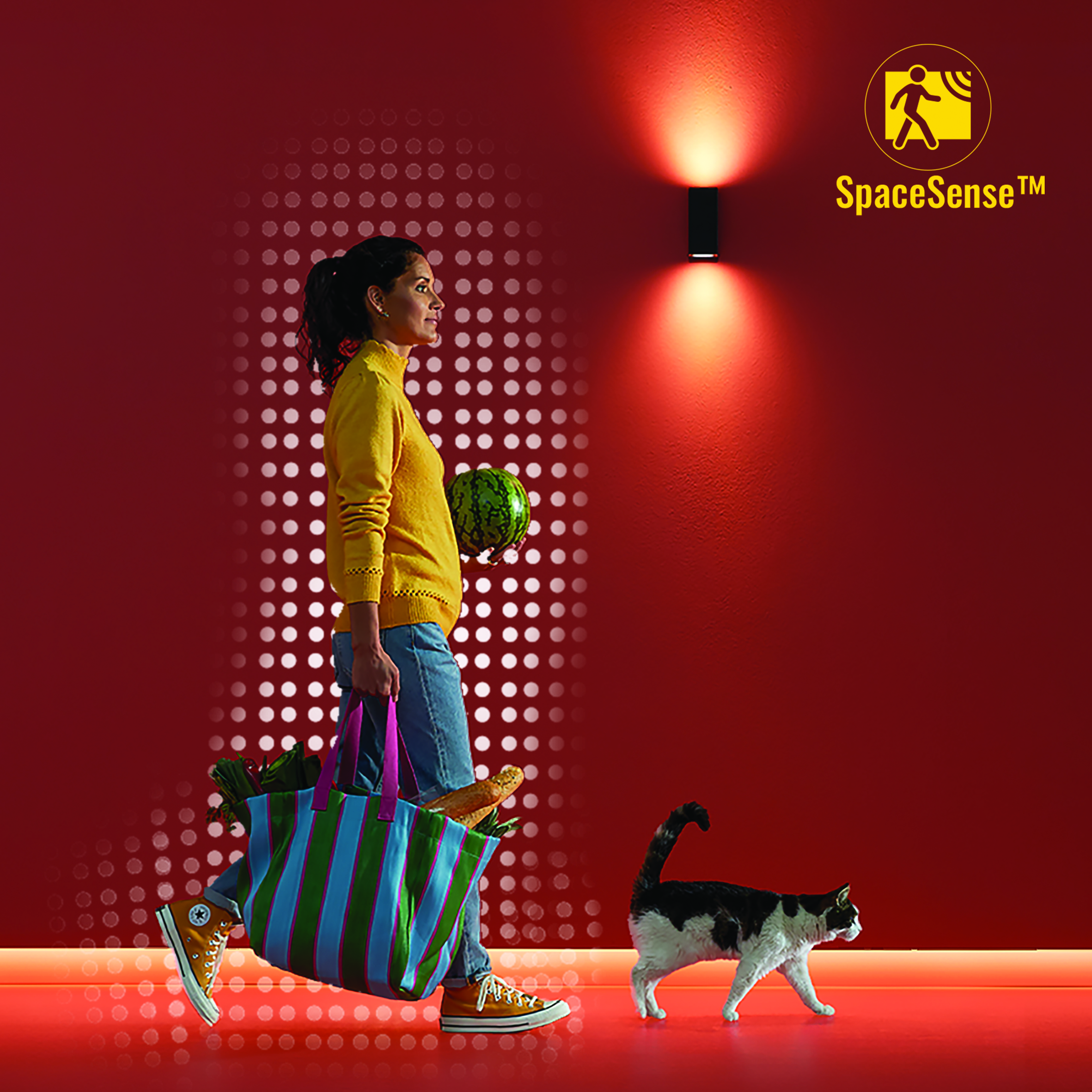 Mujer con comestibles, gato caminando, pared roja, logo SpaceSense.