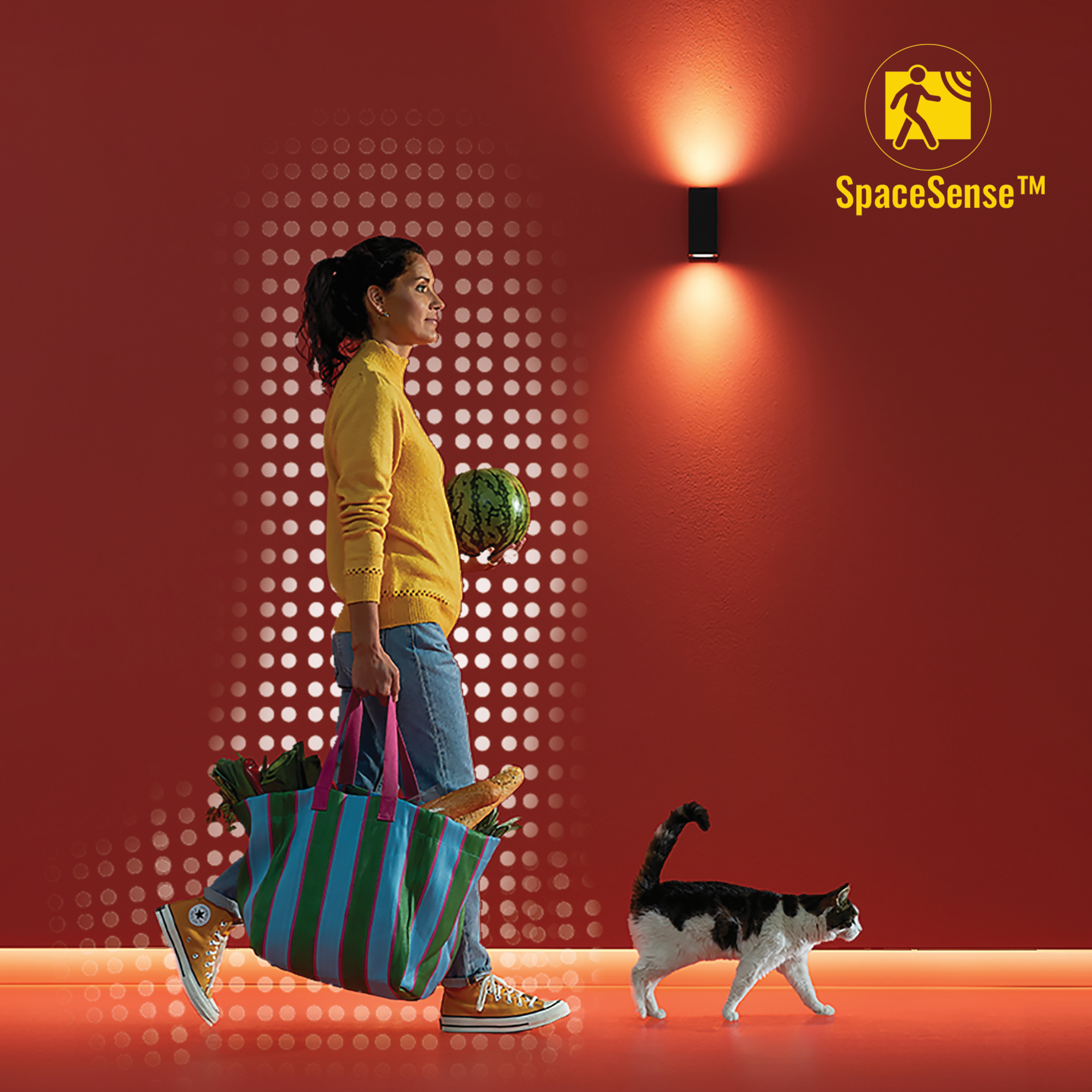 Mujer caminando con comestibles, gato sigue, pared roja con luces exteriores.