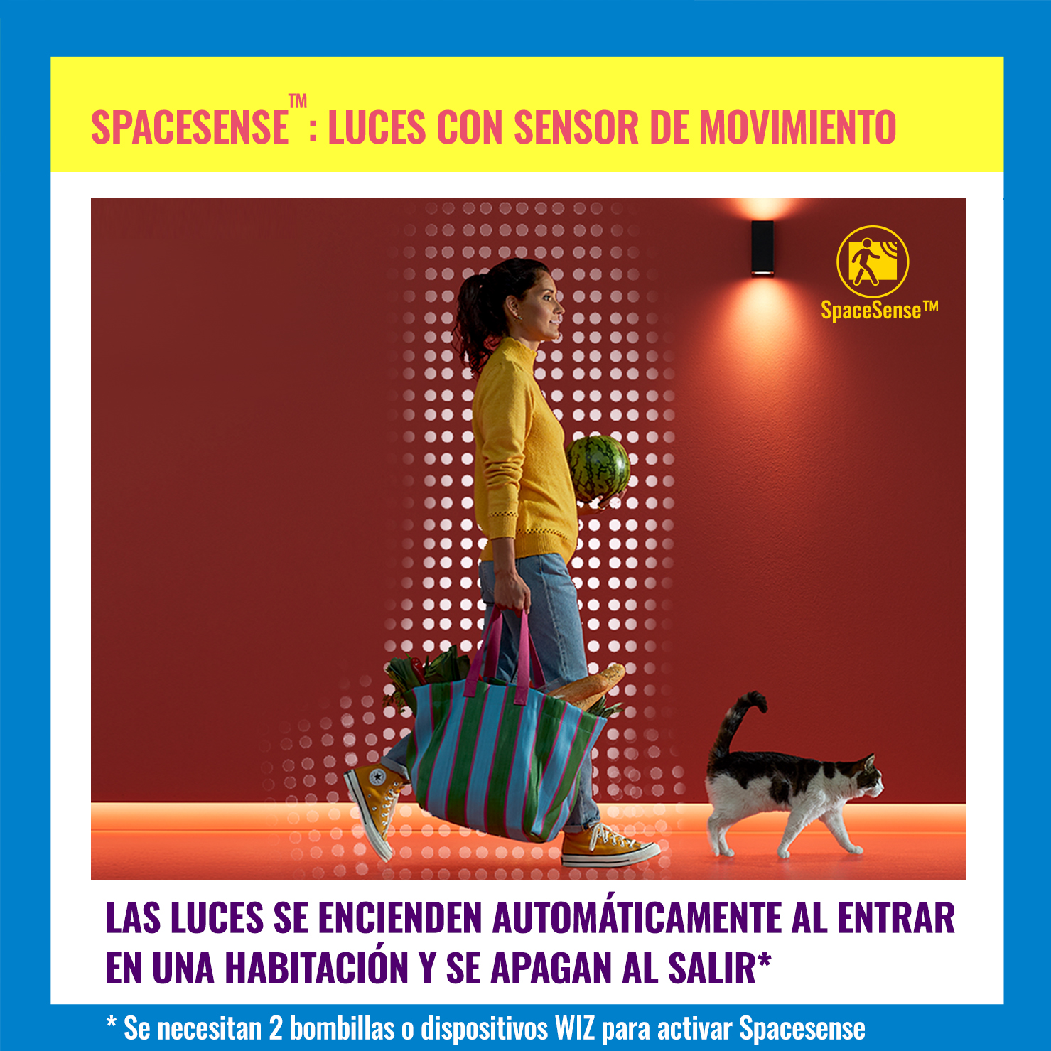 Mujer caminando con comestibles, acompañada por un gato, con luces encendidas.
