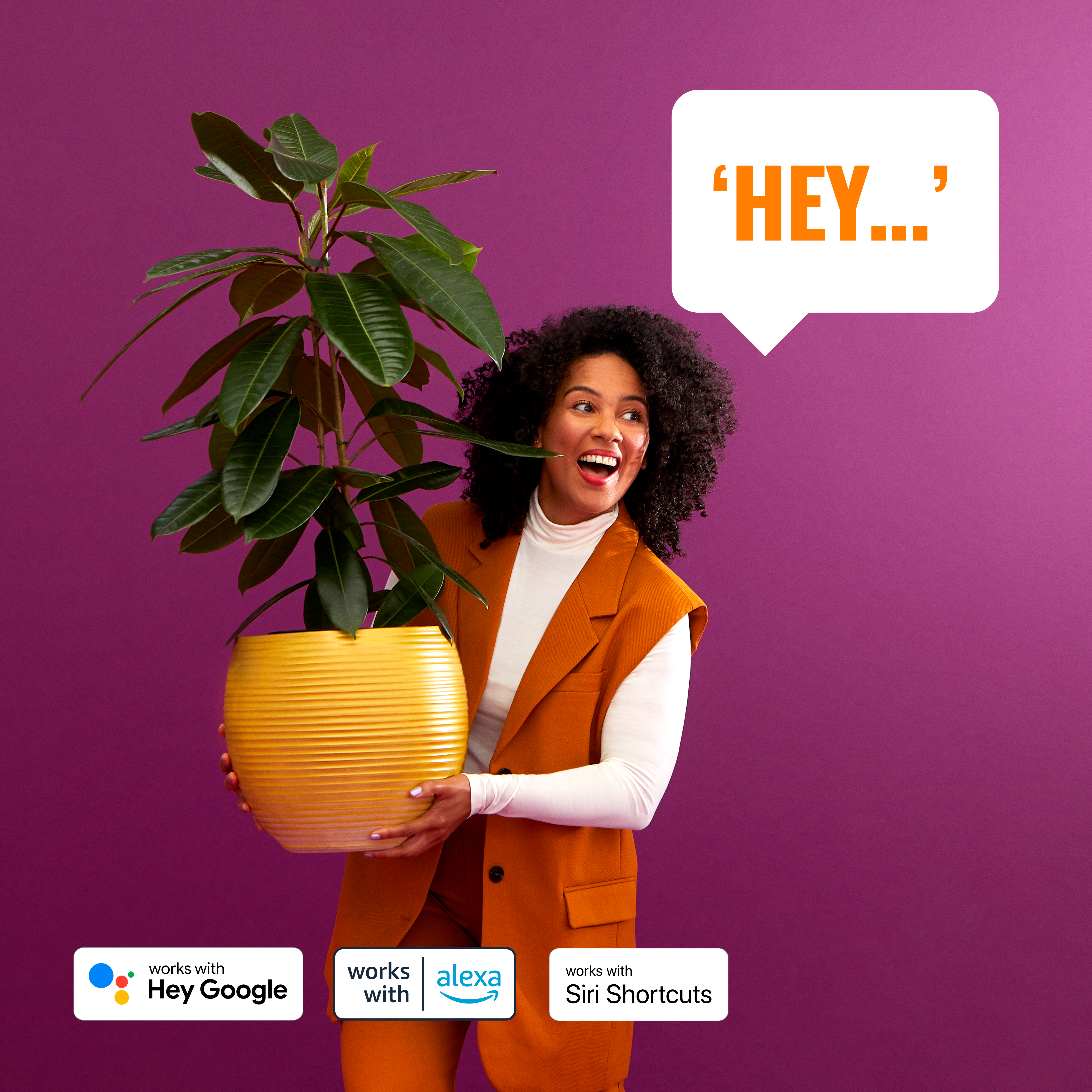 Mujer sosteniendo una maceta amarilla con planta, bocadillo que dice 'HEY...', fondo morado.