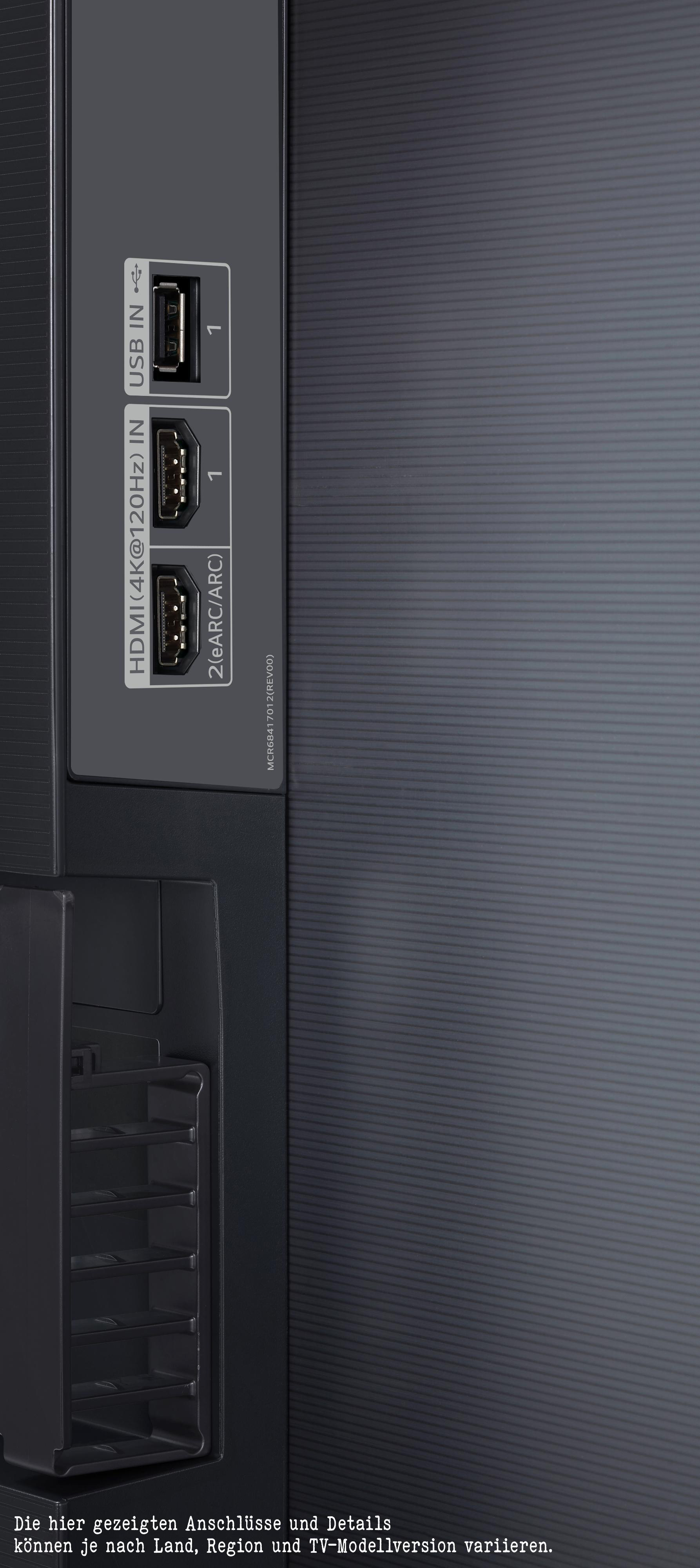 Rückseite des Fernsehers mit USB- und HDMI-Anschlüssen.