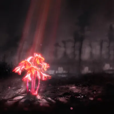 Fleurs rouges incandescentes dans une forêt sombre avec des rayons de lumière, créant une scène mystérieuse.
