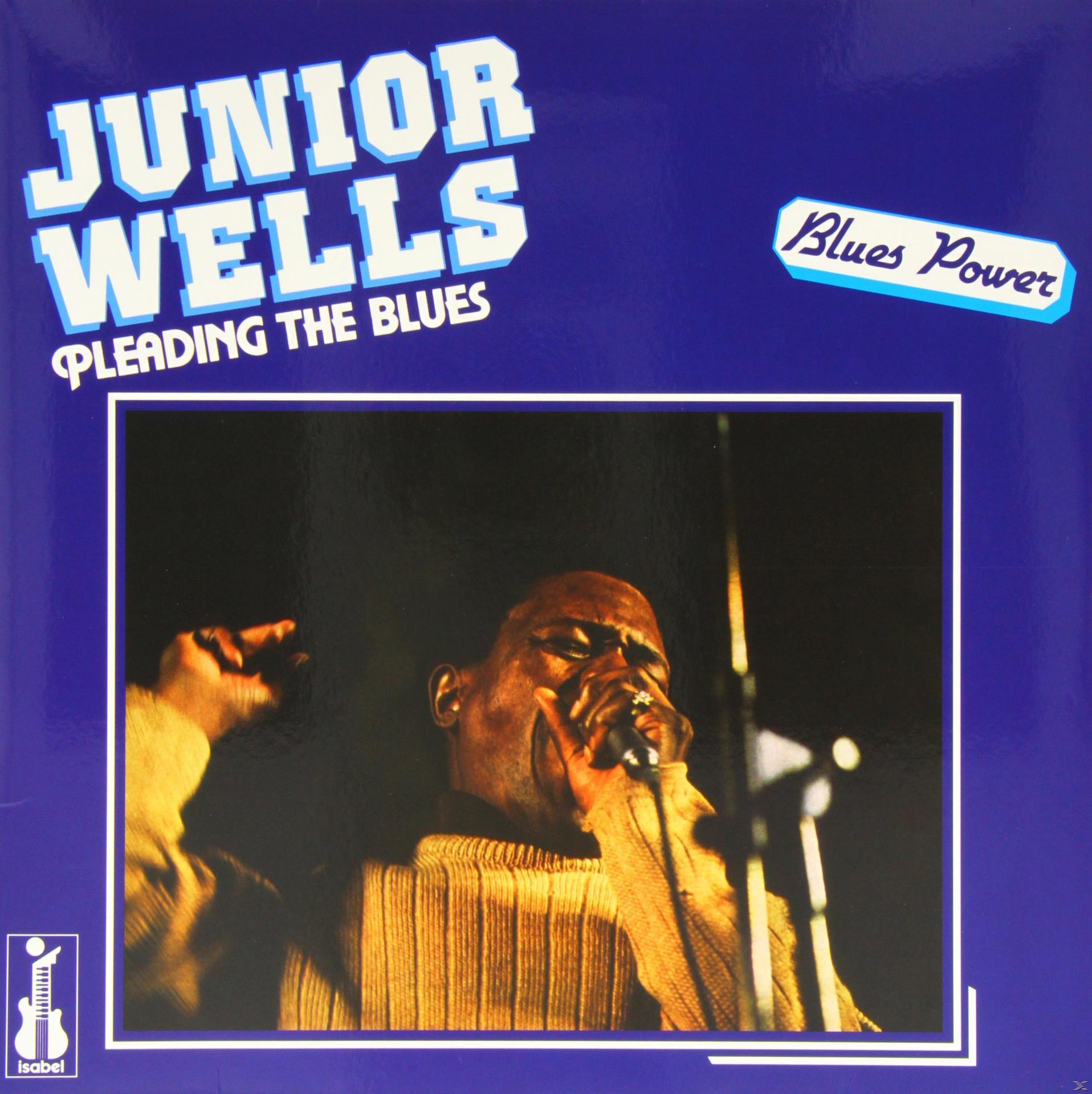 Junior Wells mikrofonba énekel, pulóvert visel. Cím: Pleading the Blues.