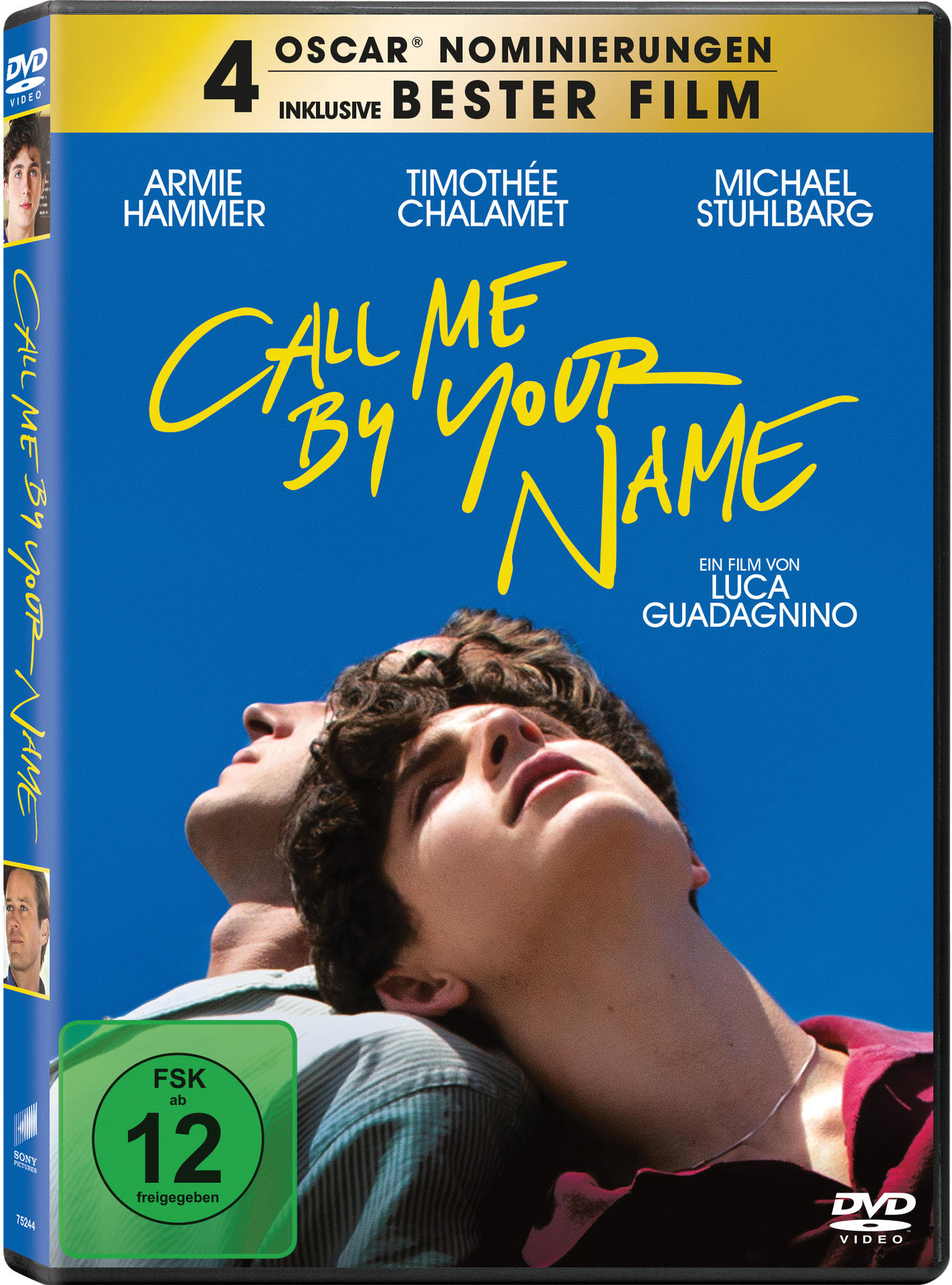 DVD-Cover für "Call Me by Your Name". Zwei junge Männer, blauer Himmel.