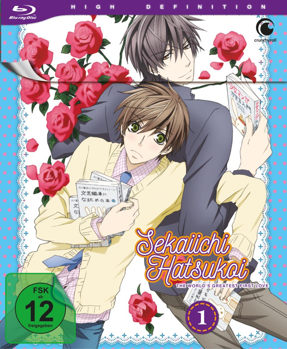 Sekaiichi Hatsukoi Blu-ray Cover. Zwei Anime-Charaktere, Titel und Rosendekorationen.