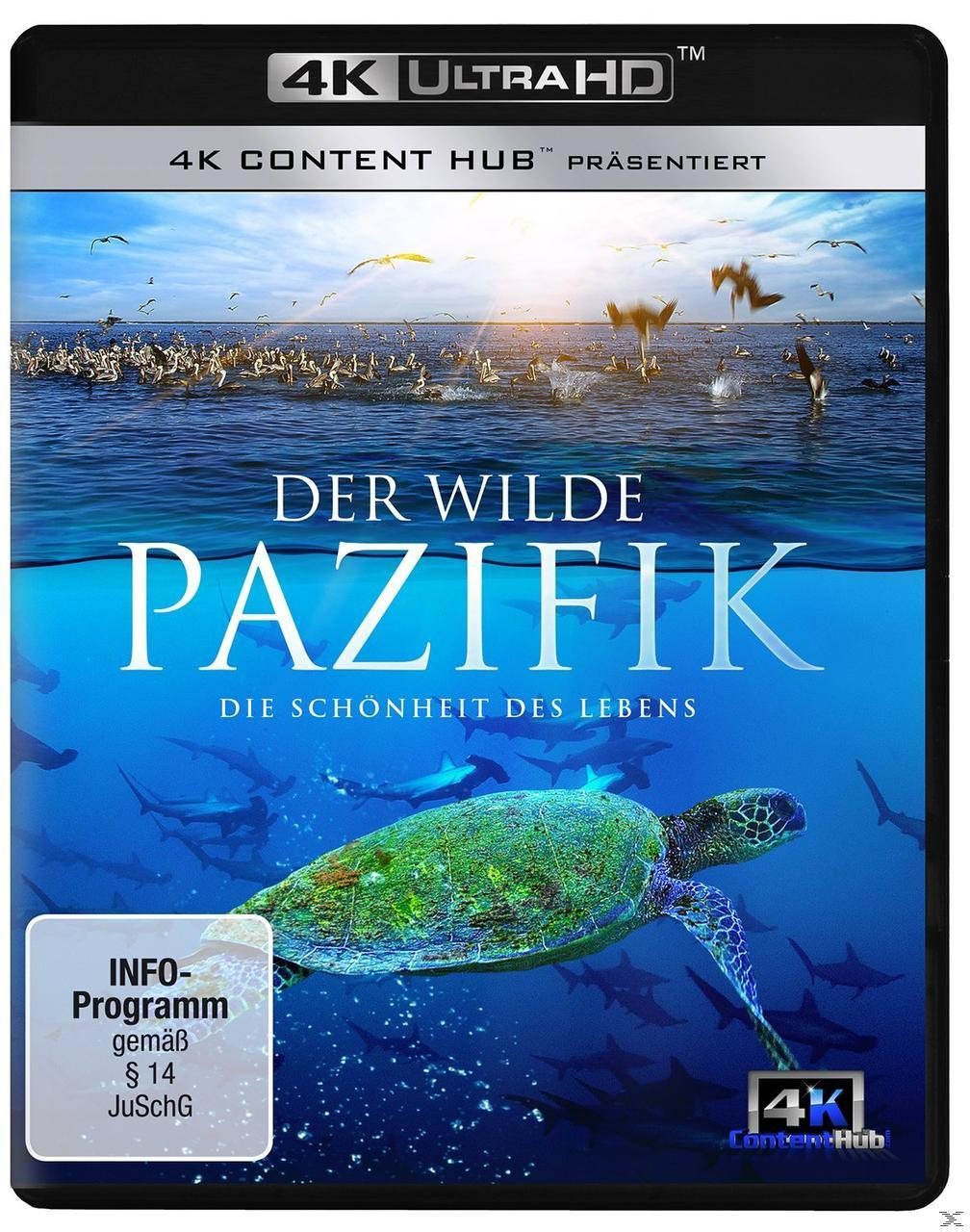 Filmcover mit Meeresbewohnern. Der Titel lautet "Der Wilde Pazifik". Eine Schildkröte im Vordergrund.