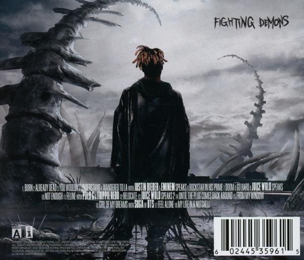 Albumcover: Eine Person in schwarzer Kleidung steht mit dem Rücken zur Kamera in einer surrealen Umgebung.