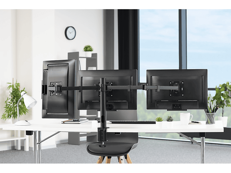 Vista 3
