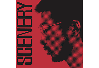 Ryo Fukui - Scenery (Vinyl LP (nagylemez))