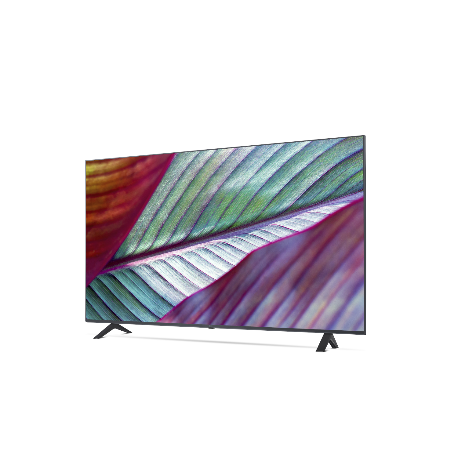 Een zwarte tv op een witte achtergrond. De tv staat schuin met een kleurrijke afbeelding van bladeren.