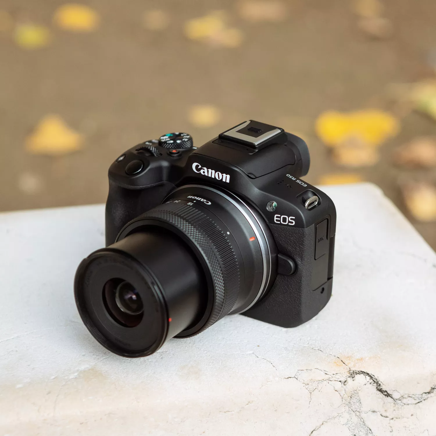 Black Canon camera with a lens on a white surface with leaves in the background.