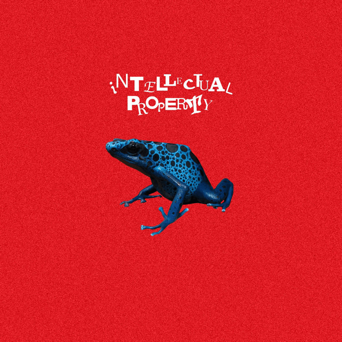 Kék nyílméregbéka piros háttéren az 'INTELLECTUAL PROPERTY' felirattal.