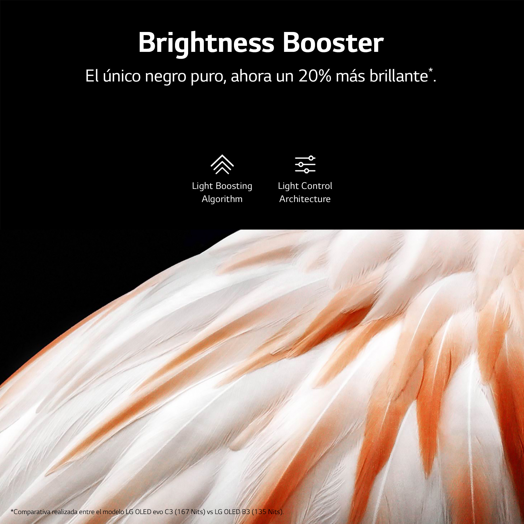 Texto sobre fondo negro: Brightness Booster y Light Boosting Algorithm.