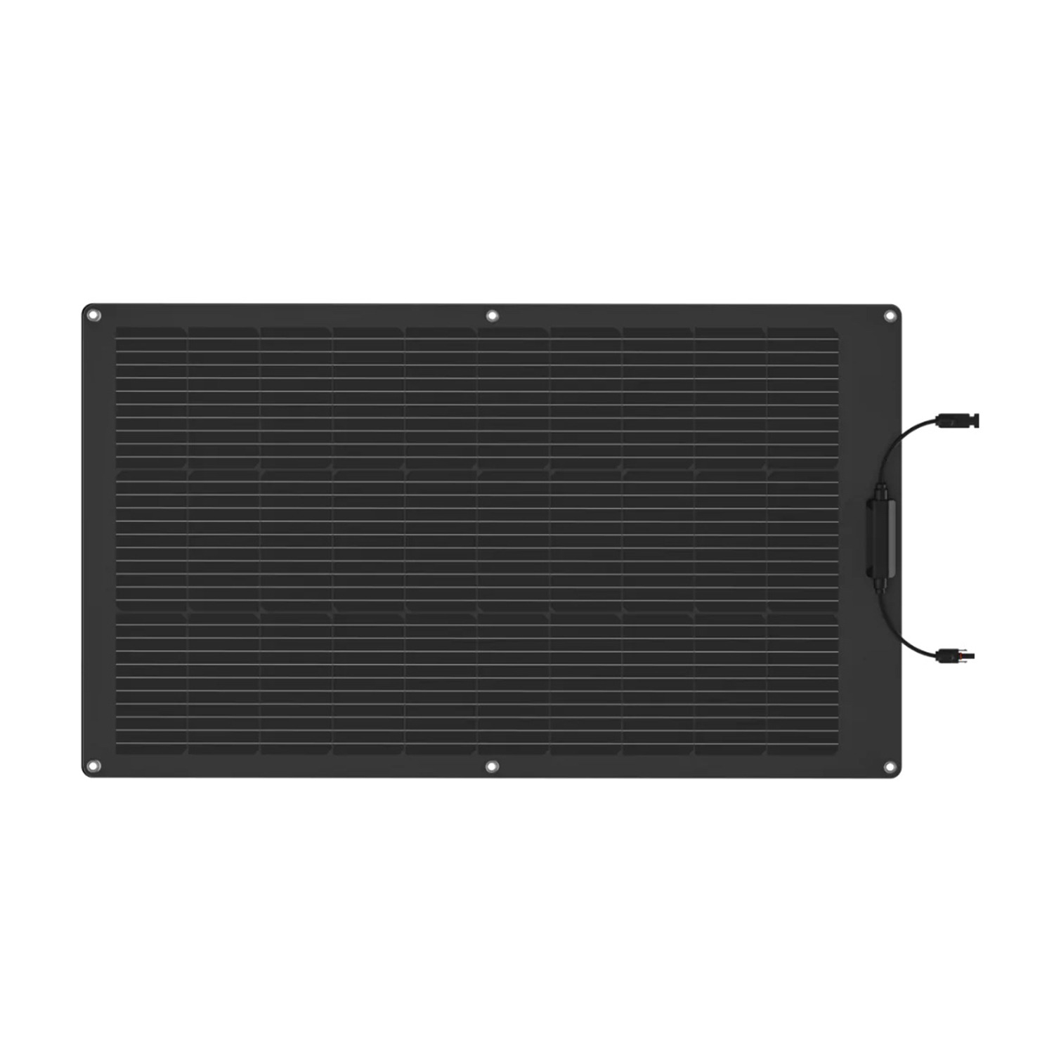 Pannello Solare Ecoflow 100W Flex