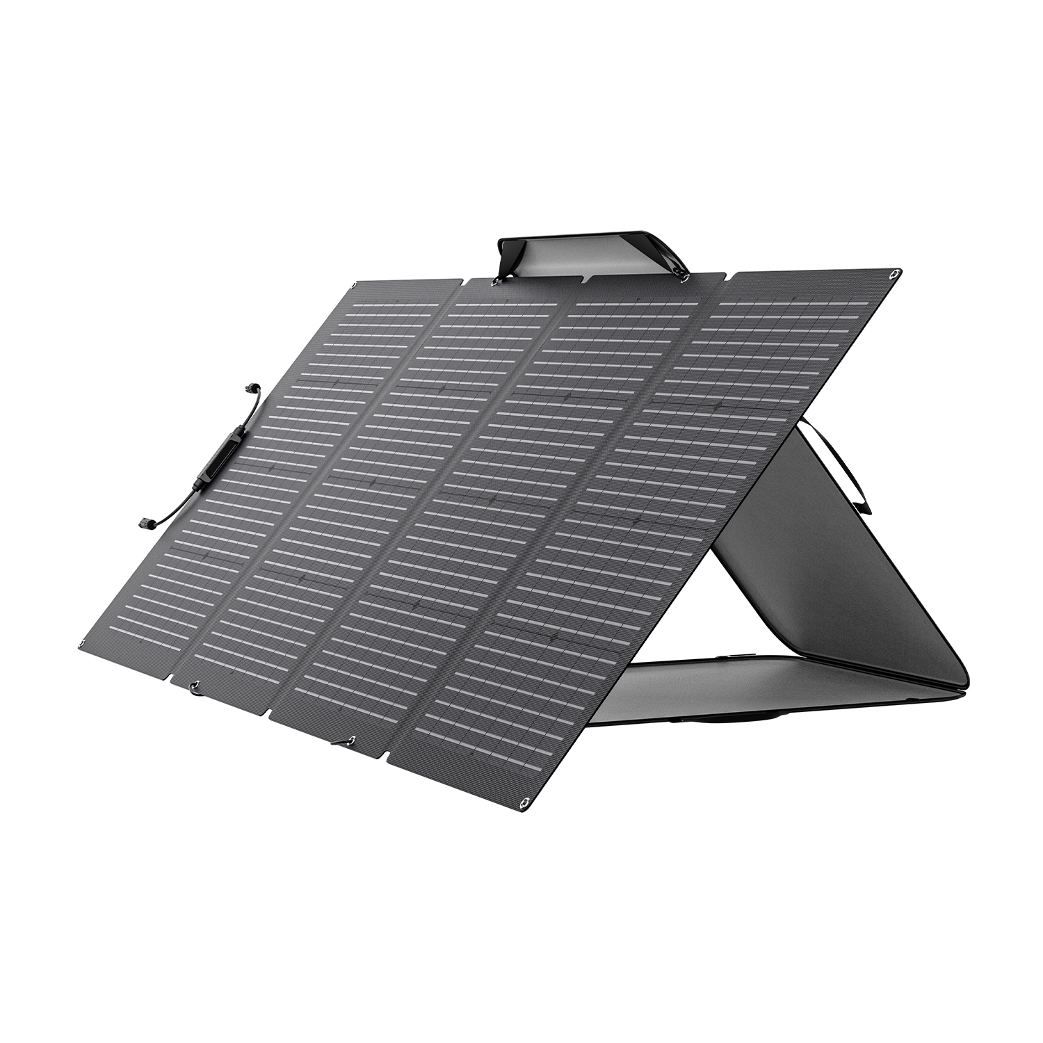 Pannelli Solari Ecoflow Pannello Solare 220W