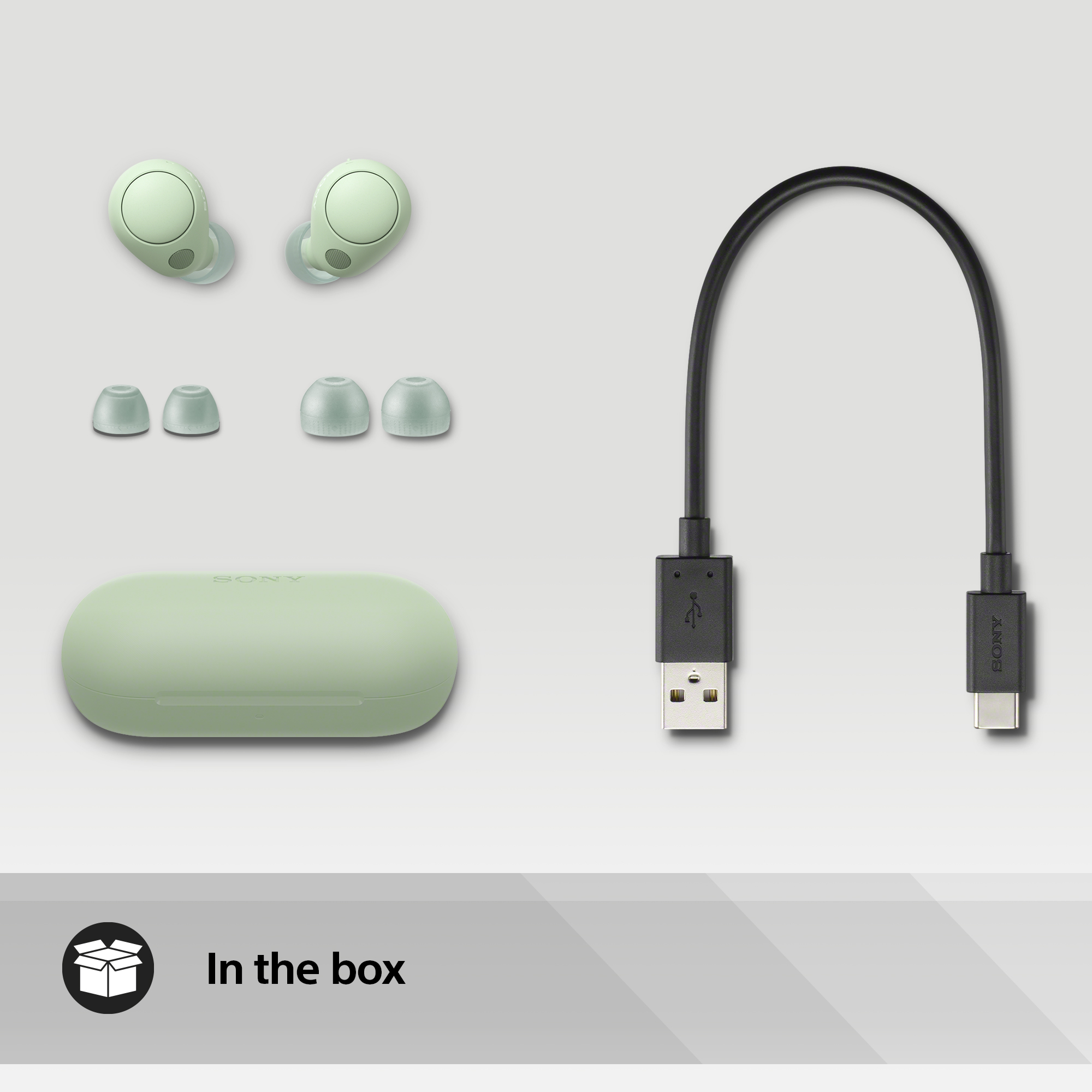 Ohrhörer, Ohrstöpsel und ein Ladecase auf weißem Untergrund. Es gibt ein USB-Kabel.