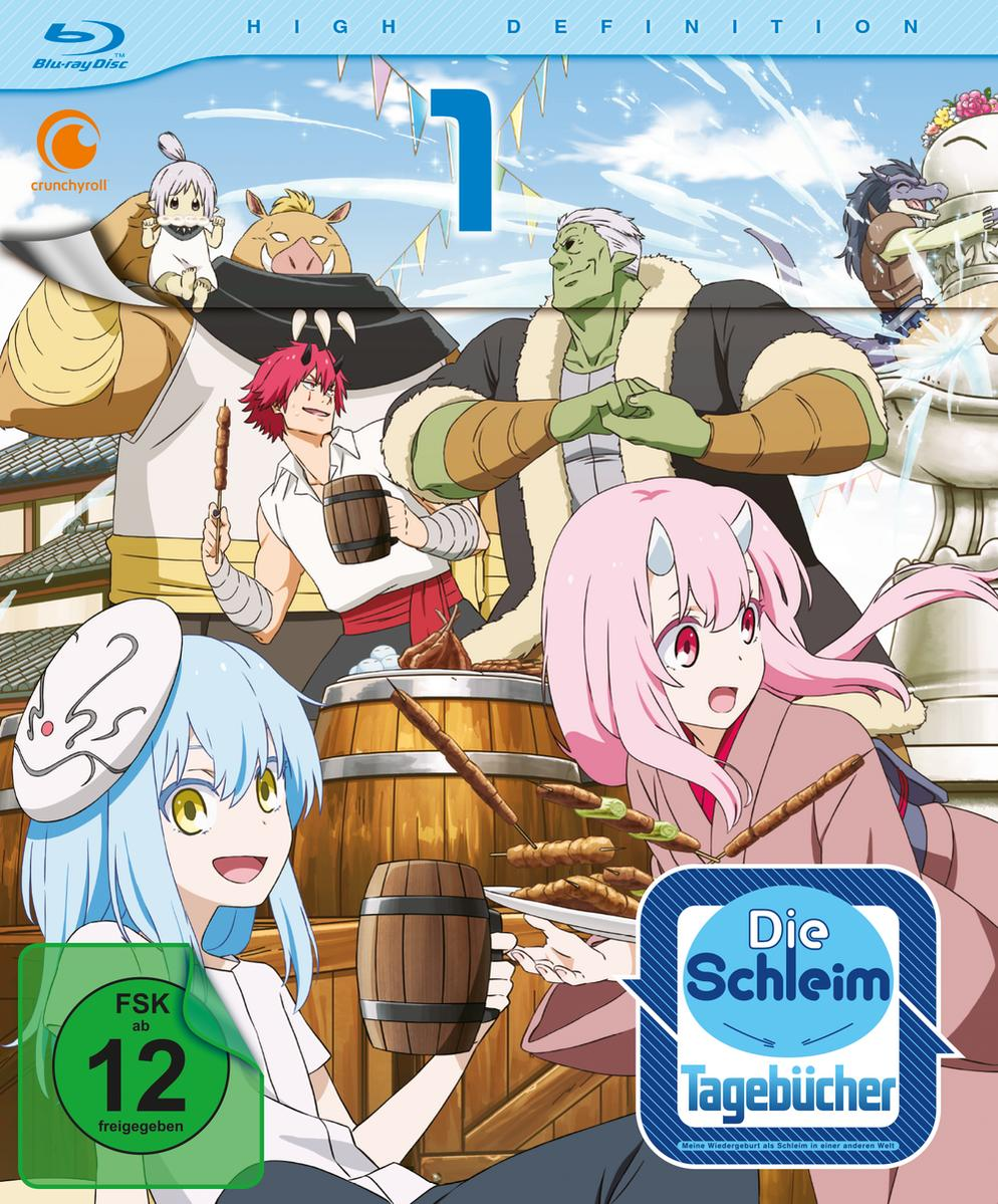 Anime-DVD-Cover mit Zeichentrickfiguren und dem Aufdruck „Die Schleim Tagebücher“.