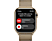 APPLE Watch S8 GPS + Cellular 41 mm Boîtier Acier inoxydable Or, Bracelet Milanais Or (MNJF3NF/A)