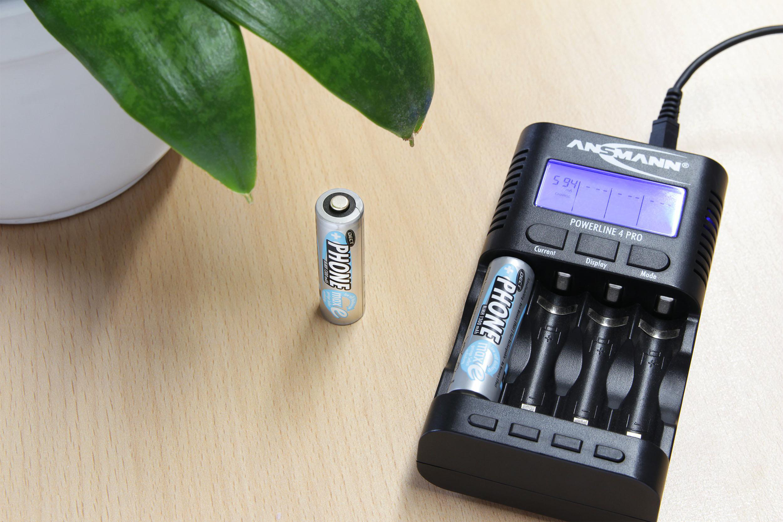 Akkuladegerät mit zwei Batterien. Ein grünes Blatt links. Digitalanzeige zeigt 5:41.