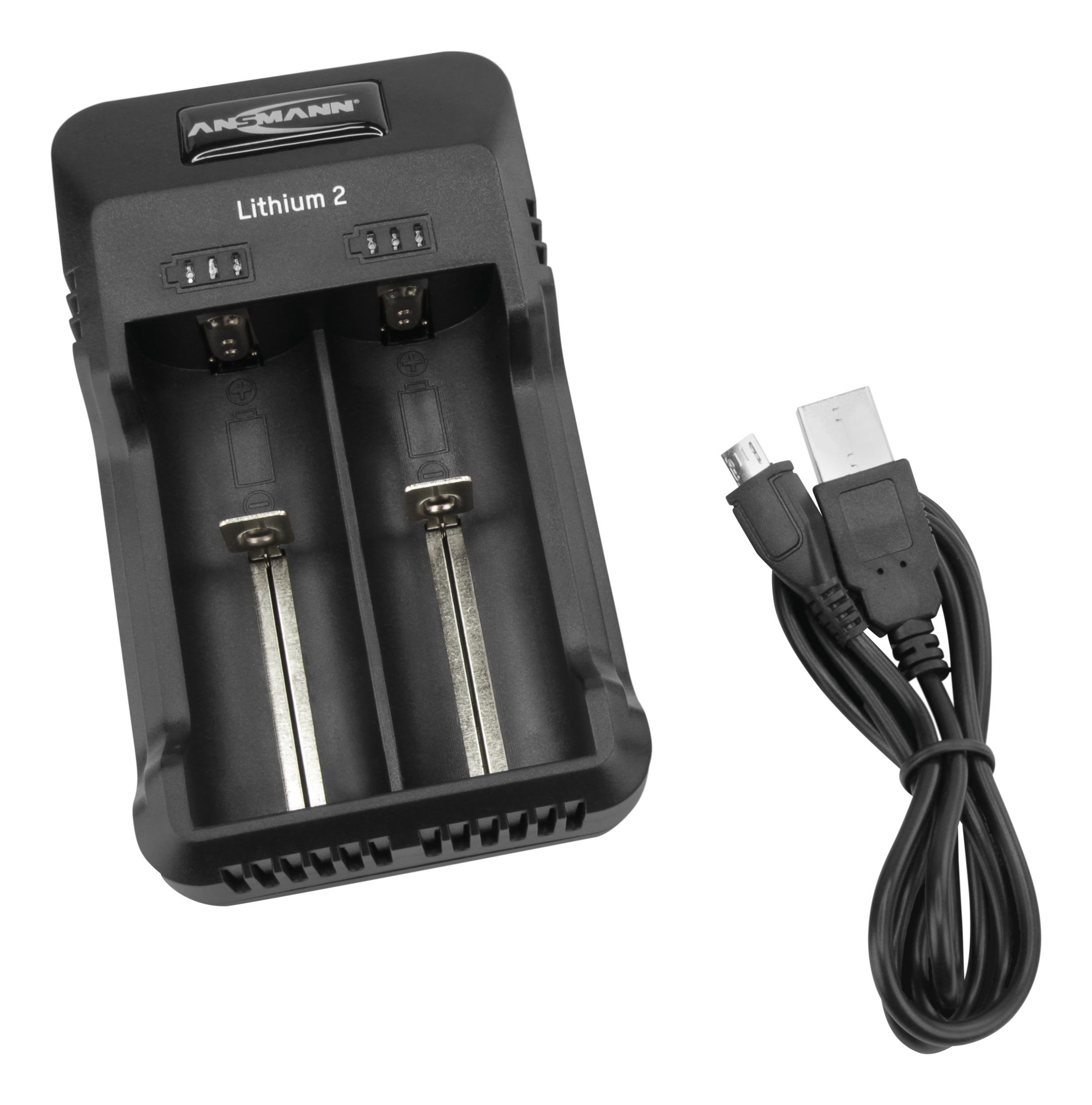 Schwarzes Batterieladegerät mit zwei Schlitzen und schwarzem USB-Kabel.