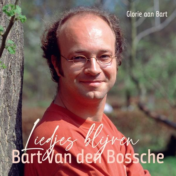 Pochette d'album : Homme avec des lunettes en chemise rouge, arbre en arrière-plan, texte 'Liedjes blijven'.